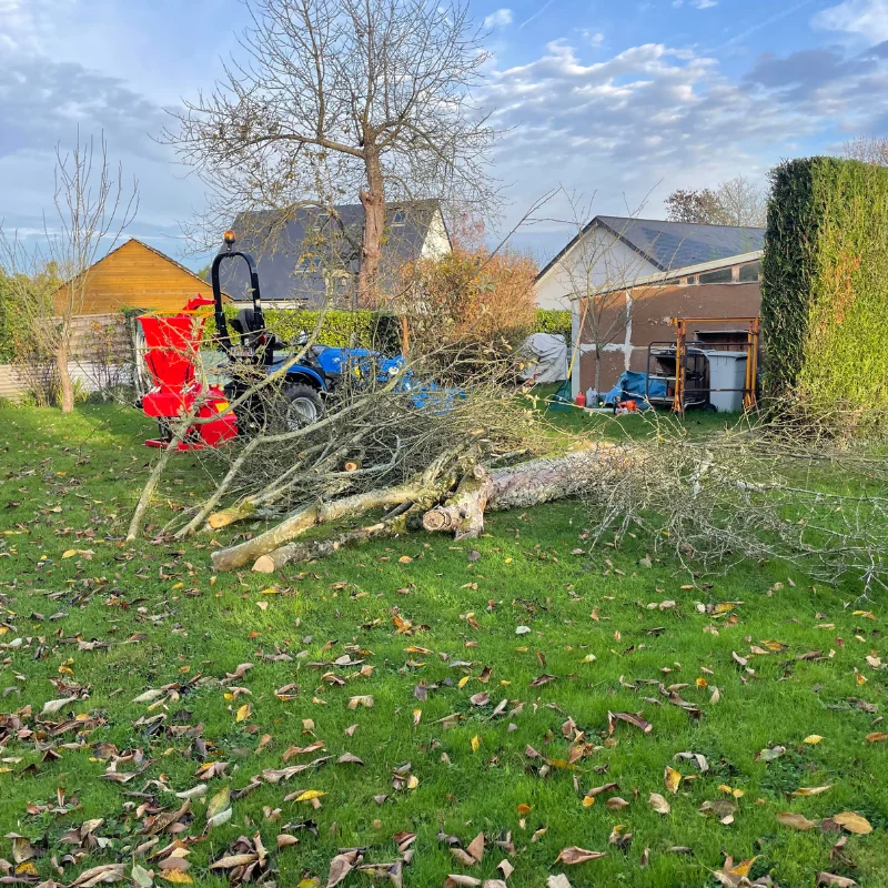 Abattage et broyage de branches (Roumare)