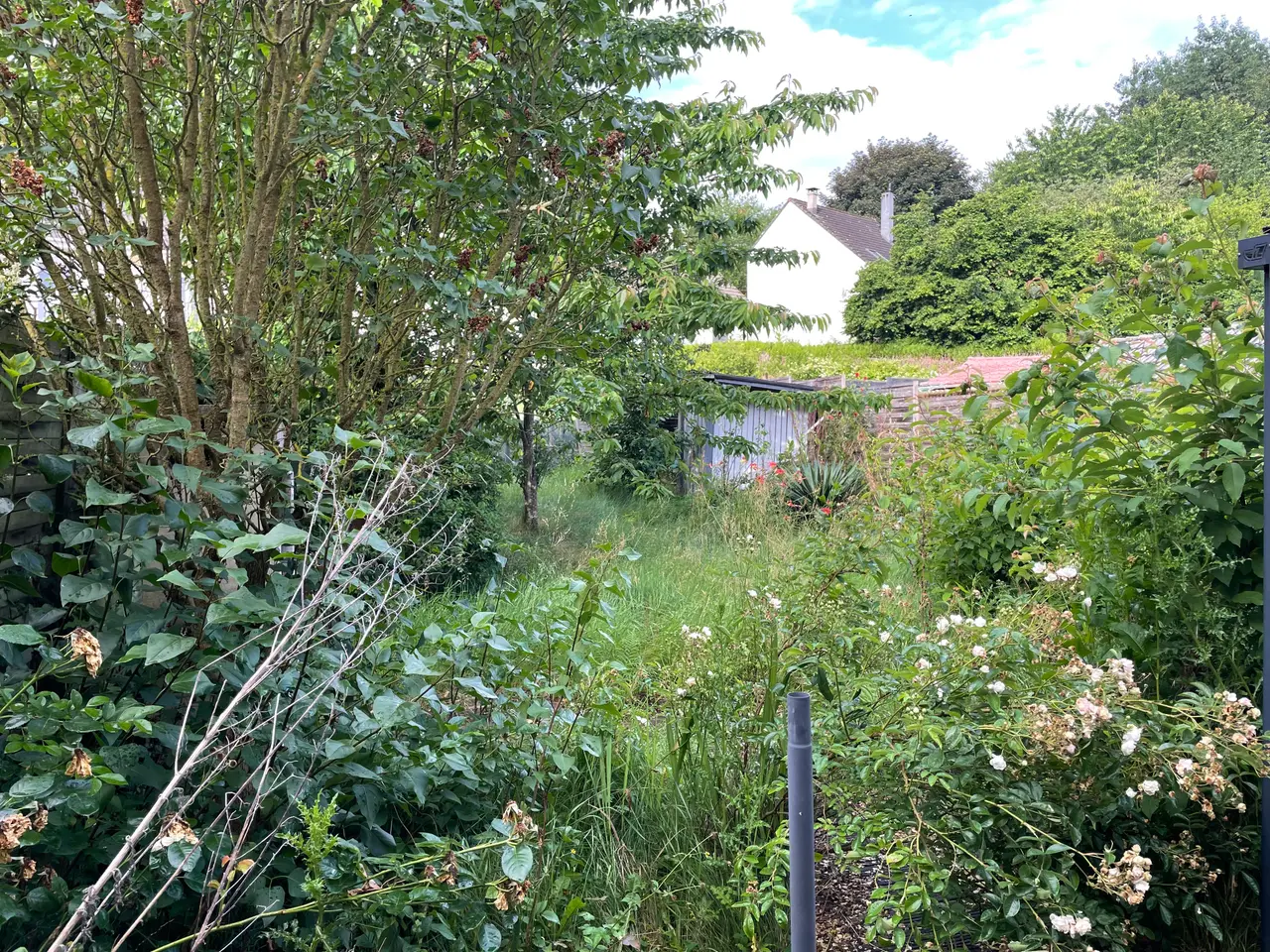 Avant — Remise en état d’un jardin