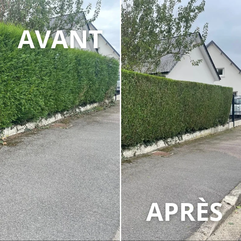 Taille de haies (Roumare)