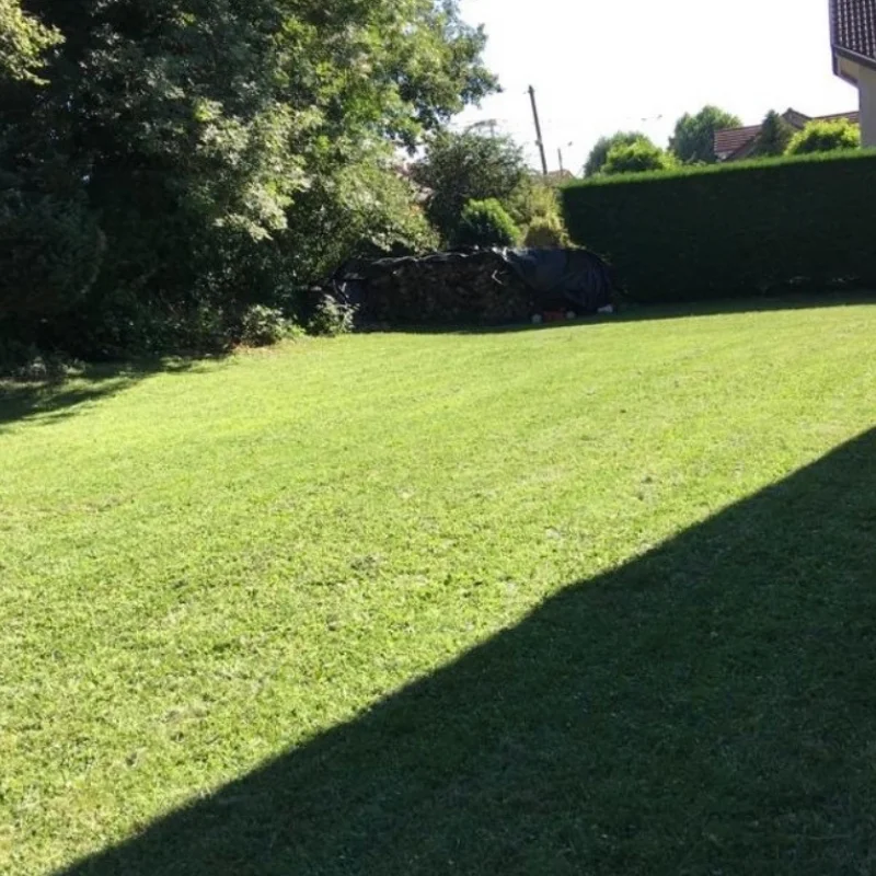 Tonte de pelouse (Saint-Paer)